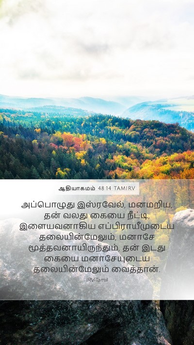 ஆதியாகமம் 48:14 TAMIRV Bible Verse Image