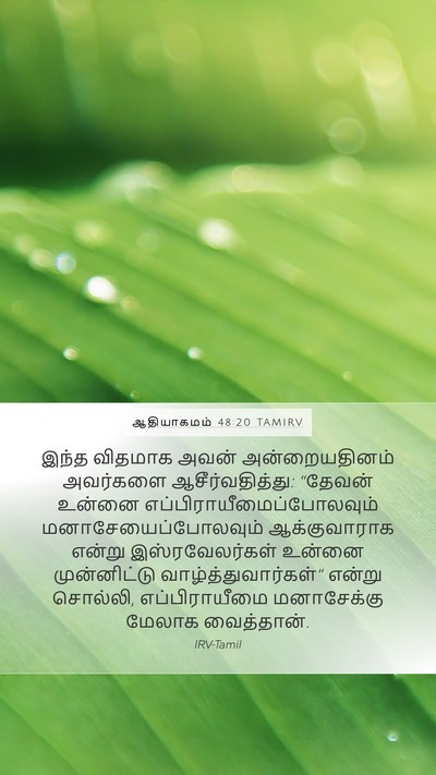 ஆதியாகமம் 48:20 TAMIRV Bible Verse Image