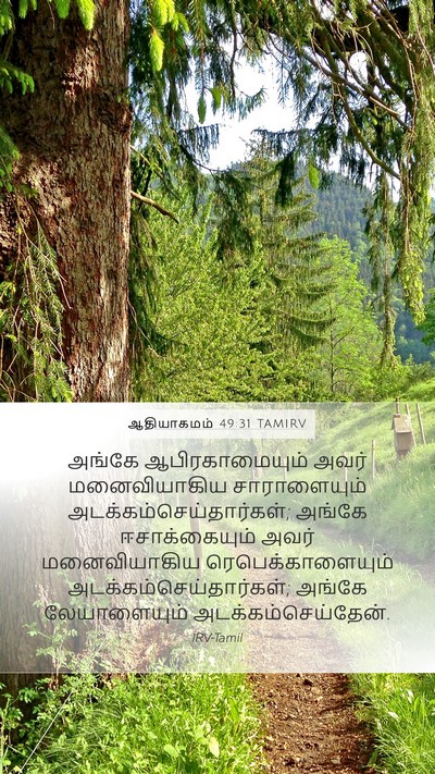 ஆதியாகமம் 49:31 TAMIRV Bible Verse Image
