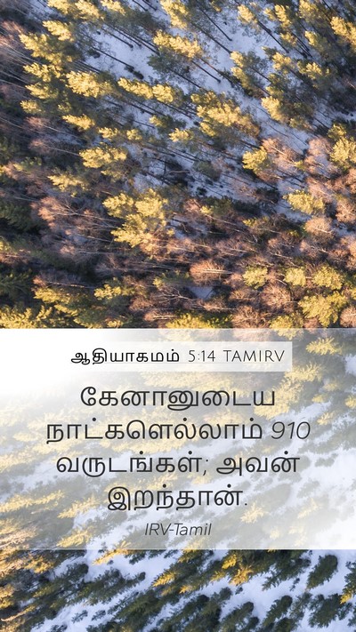 ஆதியாகமம் 5:14 TAMIRV Mobile Phone Wallpaper - கேனானுடைய - Mobile Bible Verse Wallpaper