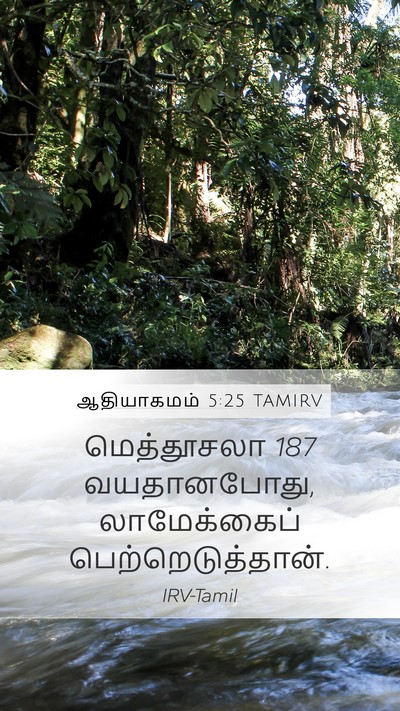 ஆதியாகமம் 5:25 TAMIRV Mobile Phone Wallpaper - மெத்தூசலா 187 - Mobile Bible Verse Wallpaper