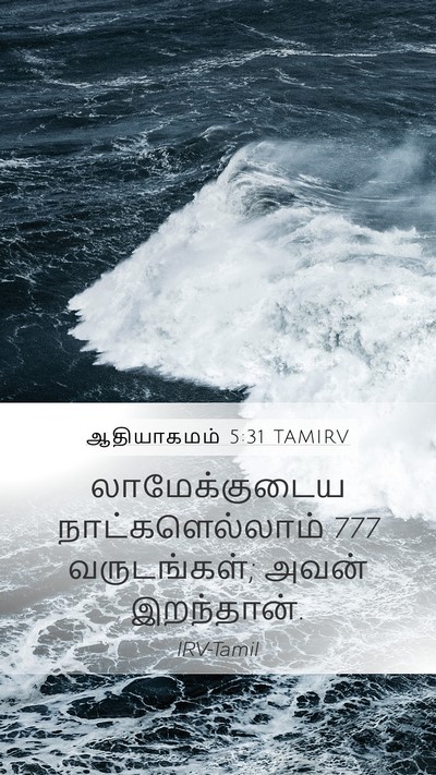 ஆதியாகமம் 5:31 TAMIRV Mobile Phone Wallpaper - லாமேக்குடைய - Mobile Bible Verse Wallpaper