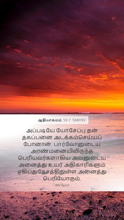 ஆதியாகமம் 50:7 TAMIRV Mobile Phone Wallpaper - அப்படியே யோசேப்பு - Mobile Bible Verse Wallpaper