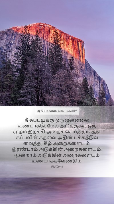 ஆதியாகமம் 6:16 TAMIRV Mobile Phone Wallpaper - நீ கப்பலுக்கு ஒரு - Mobile Bible Verse Wallpaper