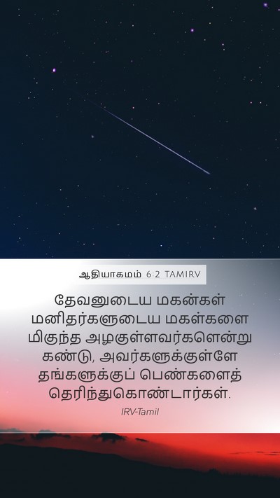 ஆதியாகமம் 6:2 TAMIRV Bible Verse Image