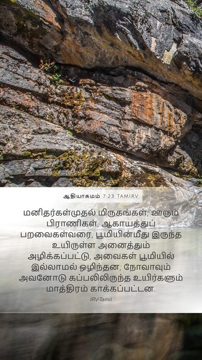 ஆதியாகமம் 7:23 TAMIRV Mobile Phone Wallpaper - மனிதர்கள்முதல் - Mobile Bible Verse Wallpaper