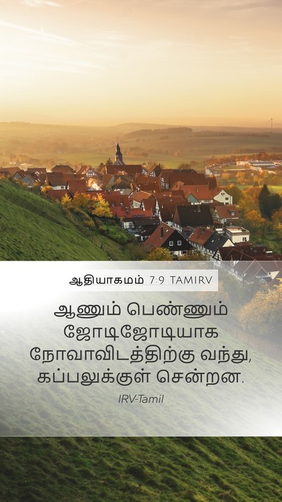ஆதியாகமம் 7:9 TAMIRV Bible Verse Image