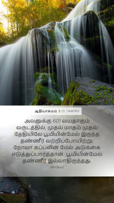 ஆதியாகமம் 8:13 TAMIRV Bible Verse Image