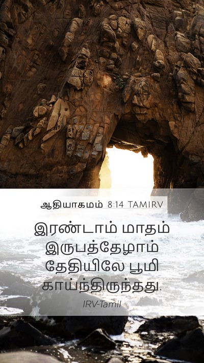 ஆதியாகமம் 8:14 TAMIRV Mobile Phone Wallpaper - இரண்டாம் மாதம் - Mobile Bible Verse Wallpaper