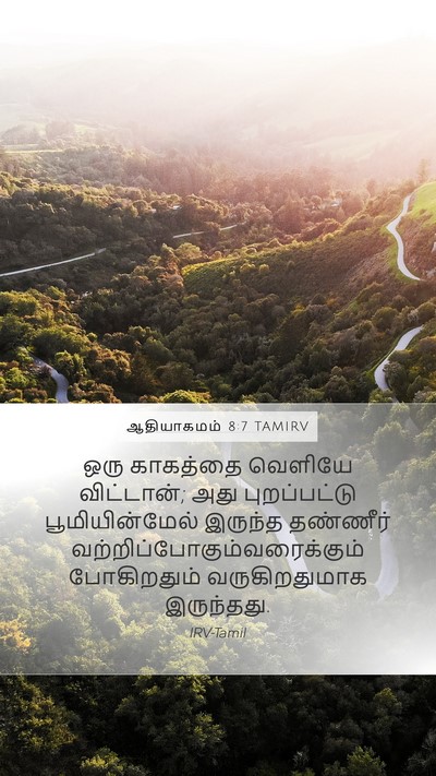 ஆதியாகமம் 8:7 TAMIRV Bible Verse Image