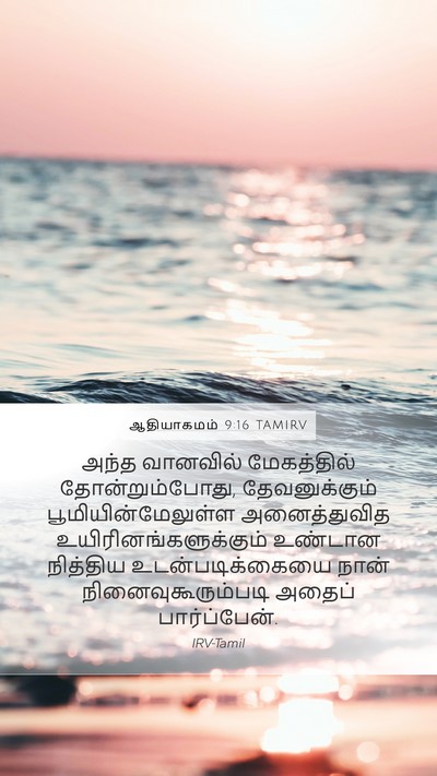 ஆதியாகமம் 9:16 TAMIRV Mobile Phone Wallpaper - அந்த வானவில் - Mobile Bible Verse Wallpaper