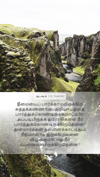 ஆபகூக் 1:13 TAMIRV Bible Verse Image