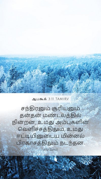ஆபகூக் 3:11 TAMIRV Bible Verse Image