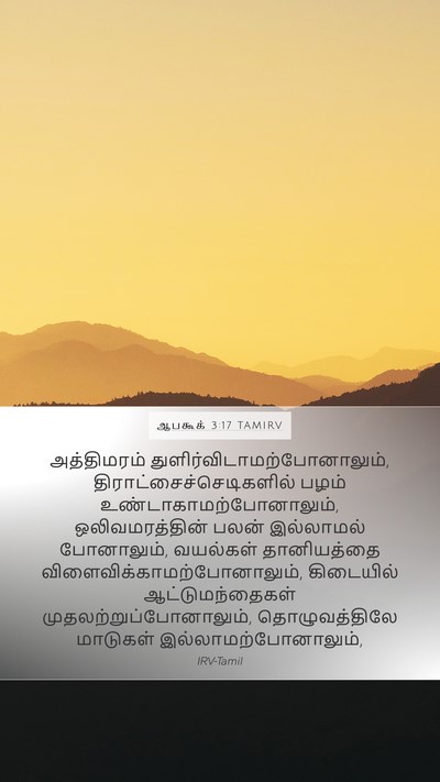 ஆபகூக் 3:17 TAMIRV Bible Verse Image