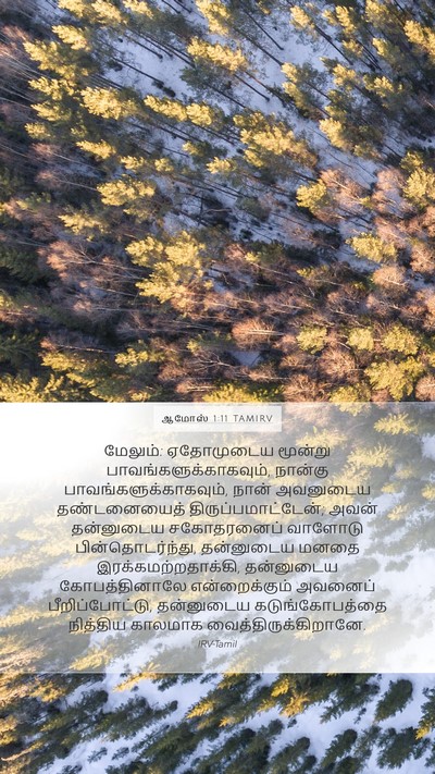 ஆமோஸ் 1:11 TAMIRV Bible Verse Image