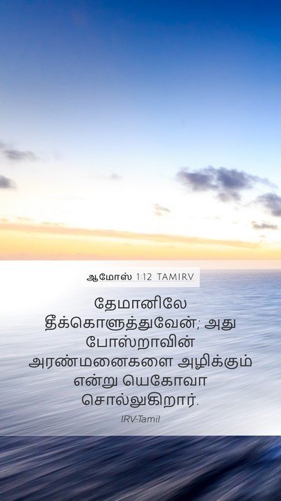 ஆமோஸ் 1:12 TAMIRV Bible Verse Image