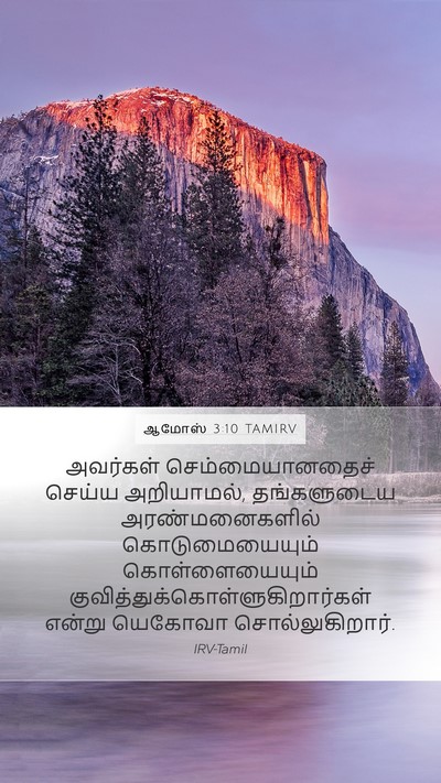 ஆமோஸ் 3:10 TAMIRV Bible Verse Image