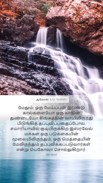 ஆமோஸ் 3:12 TAMIRV Bible Verse Image