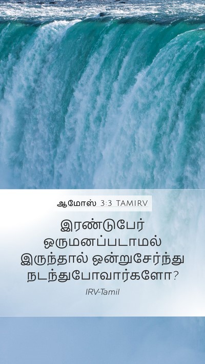 ஆமோஸ் 3:3 TAMIRV Bible Verse Image