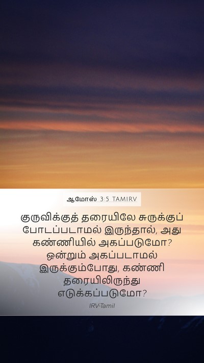 ஆமோஸ் 3:5 TAMIRV Bible Verse Image