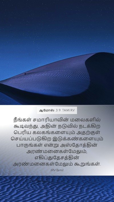 ஆமோஸ் 3:9 TAMIRV Bible Verse Image
