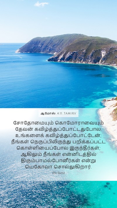 ஆமோஸ் 4:11 TAMIRV Bible Verse Image