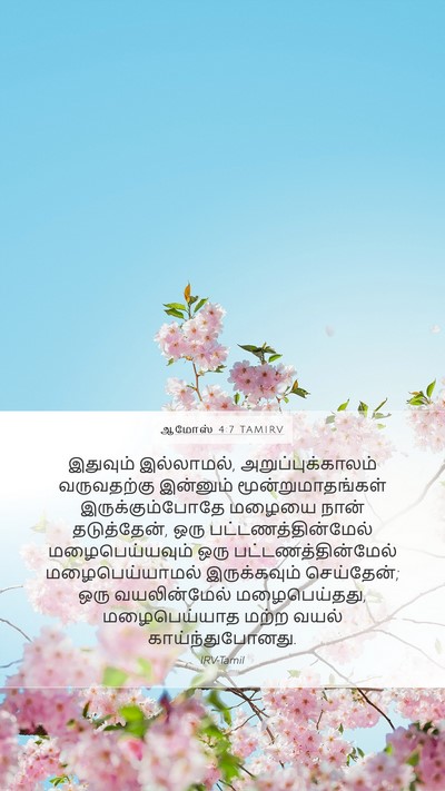 ஆமோஸ் 4:7 TAMIRV Bible Verse Image