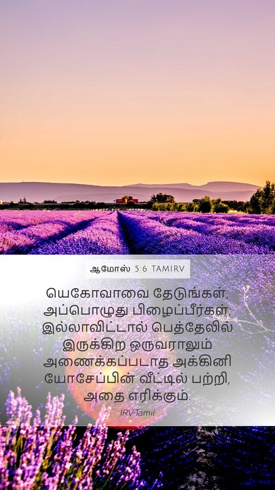 ஆமோஸ் 5:6 TAMIRV Mobile Phone Wallpaper - யெகோவாவை - Mobile Bible Verse Wallpaper