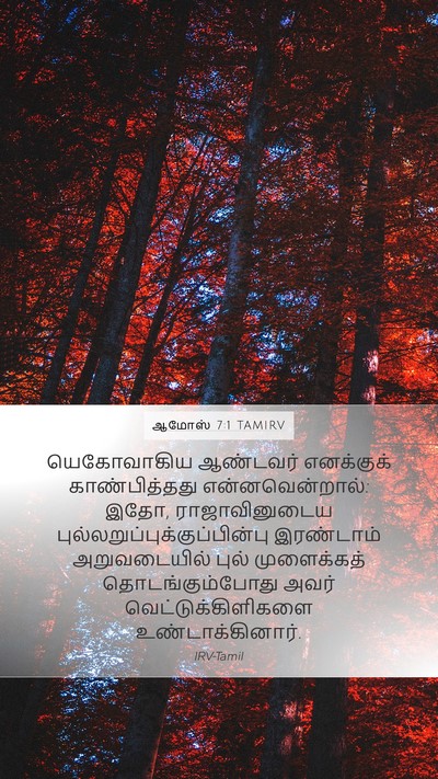 ஆமோஸ் 7:1 TAMIRV Bible Verse Image