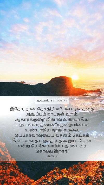 ஆமோஸ் 8:11 TAMIRV Bible Verse Image