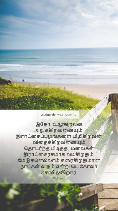 ஆமோஸ் 9:13 TAMIRV Bible Verse Image