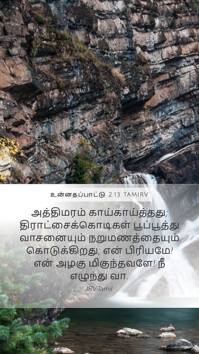 உன்னதப்பாட்டு 2:13 TAMIRV Bible Verse Image