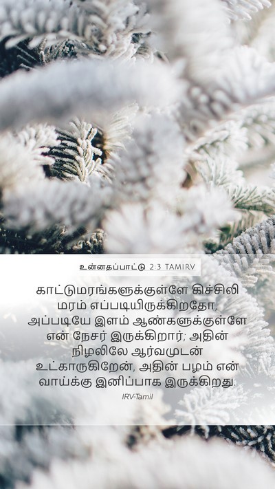 உன்னதப்பாட்டு 2:3 TAMIRV Bible Verse Image