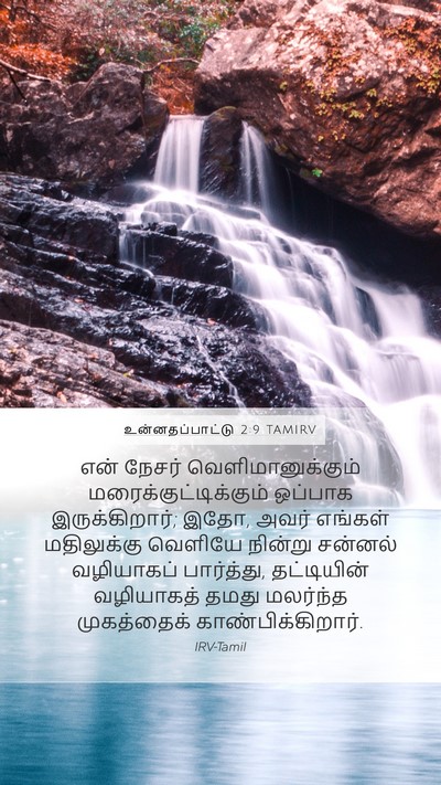 உன்னதப்பாட்டு 2:9 TAMIRV Bible Verse Image