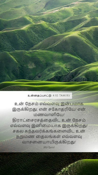 உன்னதப்பாட்டு 4:10 TAMIRV Bible Verse Image