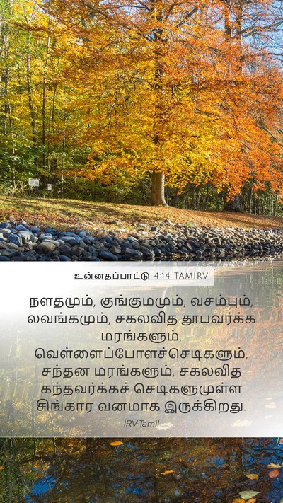 உன்னதப்பாட்டு 4:14 TAMIRV Bible Verse Image
