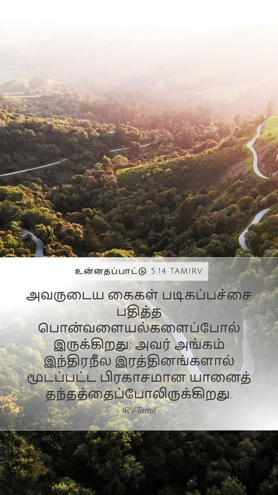 உன்னதப்பாட்டு 5:14 TAMIRV Bible Verse Image