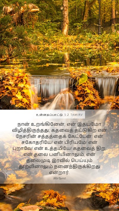 உன்னதப்பாட்டு 5:2 TAMIRV Bible Verse Image