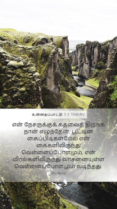 உன்னதப்பாட்டு 5:5 TAMIRV Bible Verse Image