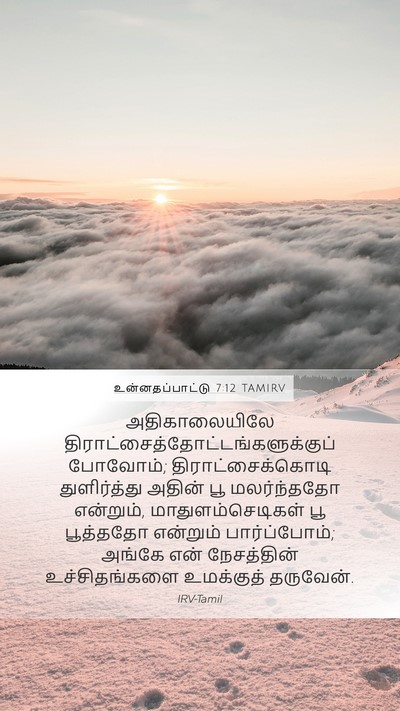 உன்னதப்பாட்டு 7:12 TAMIRV Bible Verse Image