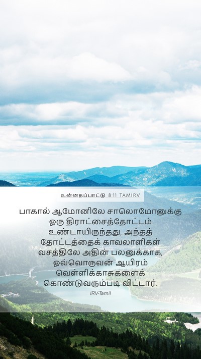 உன்னதப்பாட்டு 8:11 TAMIRV Bible Verse Image
