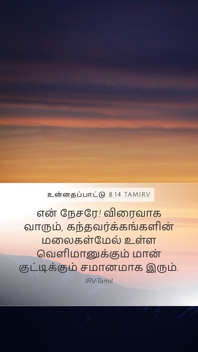 உன்னதப்பாட்டு 8:14 TAMIRV Bible Verse Image
