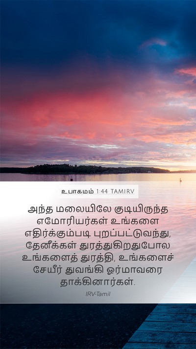 உபாகமம் 1:44 TAMIRV Bible Verse Image