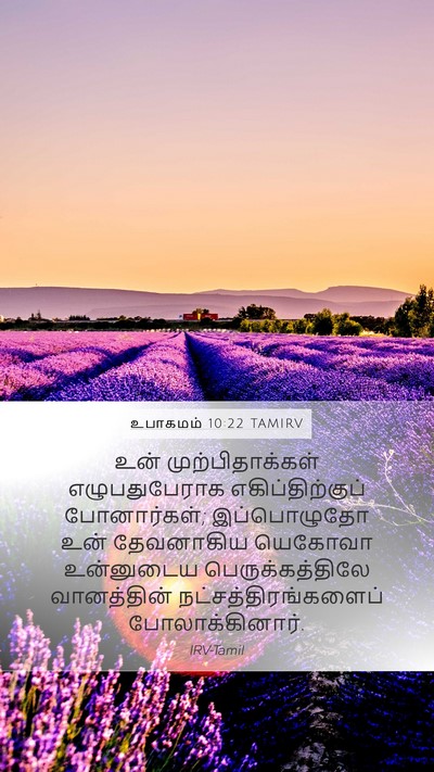 உபாகமம் 10:22 TAMIRV Bible Verse Image