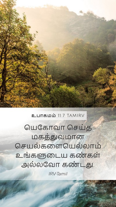 உபாகமம் 11:7 TAMIRV Bible Verse Image