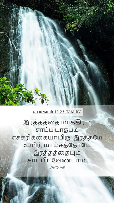 உபாகமம் 12:23 TAMIRV Mobile Phone Wallpaper - இரத்தத்தை - Mobile Bible Verse Wallpaper