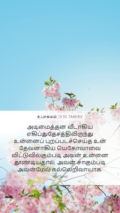 உபாகமம் 13:10 TAMIRV Mobile Phone Wallpaper - அடிமைத்தன வீடாகிய - Mobile Bible Verse Wallpaper