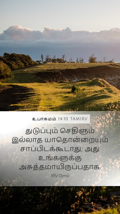 உபாகமம் 14:10 TAMIRV Mobile Phone Wallpaper - துடுப்பும் - Mobile Bible Verse Wallpaper