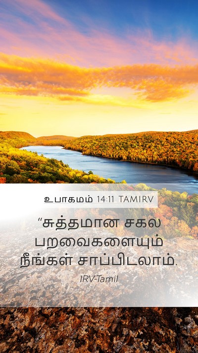 உபாகமம் 14:11 TAMIRV Mobile Phone Wallpaper - “சுத்தமான சகல - Mobile Bible Verse Wallpaper