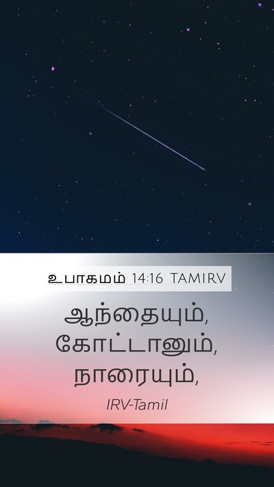 உபாகமம் 14:16 TAMIRV Mobile Phone Wallpaper - ஆந்தையும், - Mobile Bible Verse Wallpaper